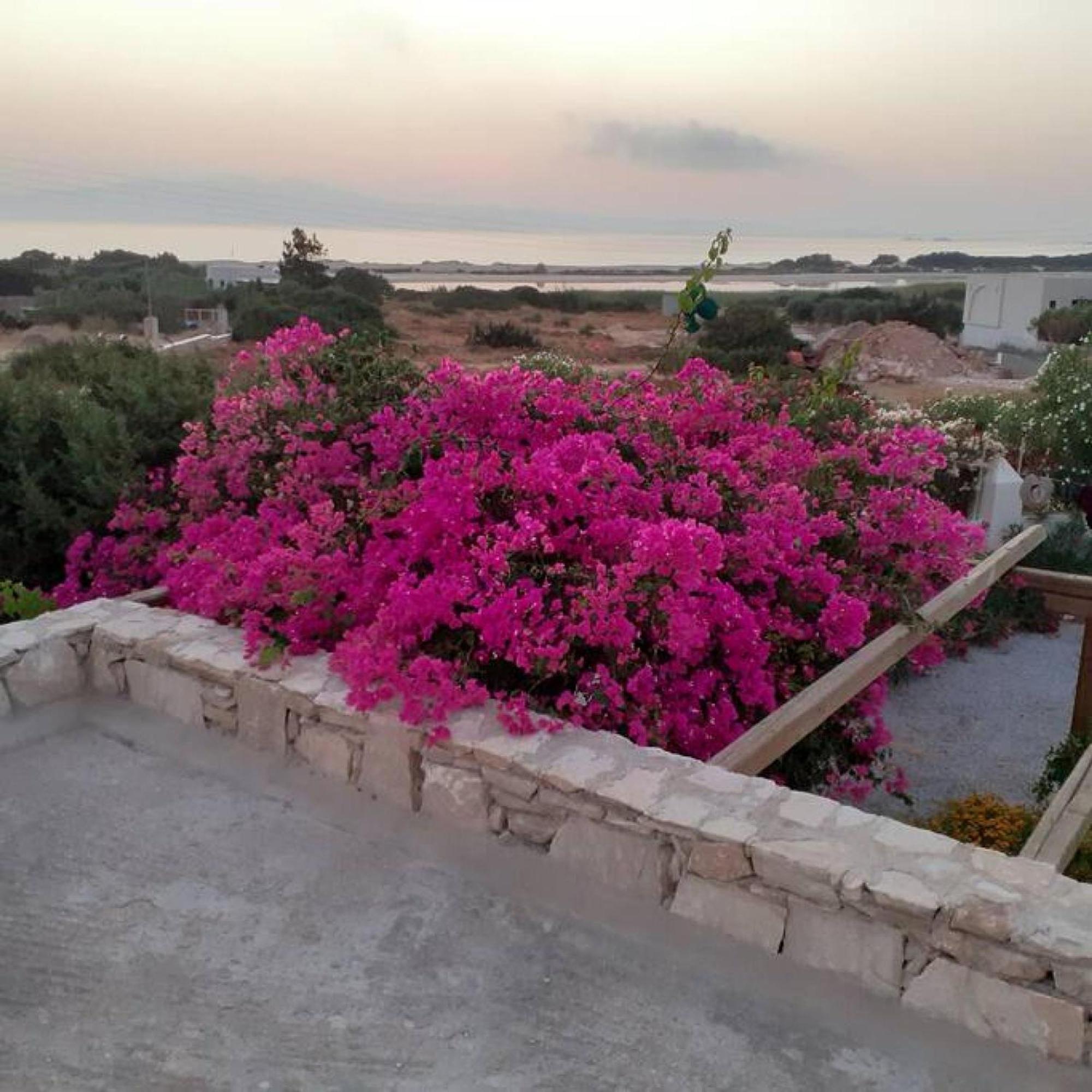 Naxos Alyko Traditional Vacation House "Mitatos" Aliko Beach Exteriér fotografie